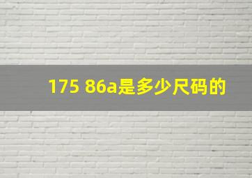 175 86a是多少尺码的